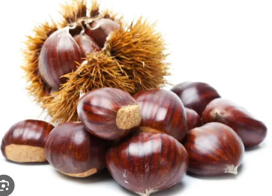 Crème glacée marron